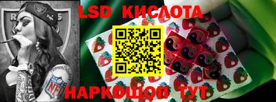 дмт Кингисепп