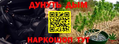 дмт Кингисепп