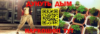 дмт Кингисепп