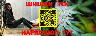 дмт Кингисепп