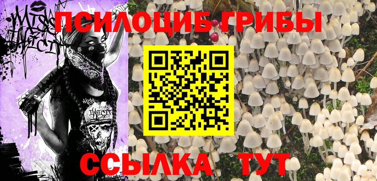 Кушва  Галлюциногенные грибы прущие грибы  Вход с VPN  хочу наркоту  Галлюциногенные грибы ЛСД 
