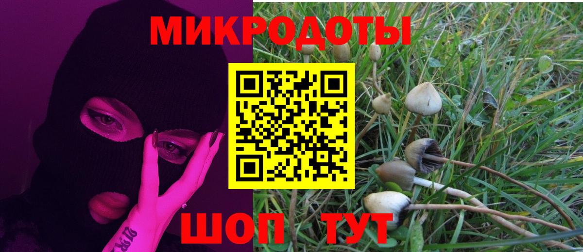 Псилоцибиновые грибы Psilocybe Кушва